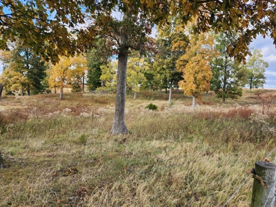 78 acre cattle farm for sale near Franklin, Ky - image 21