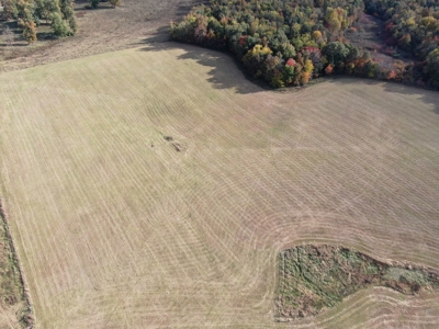 78 acre cattle farm for sale near Franklin, Ky - image 6