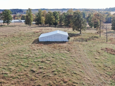 78 acre cattle farm for sale near Franklin, Ky - image 13