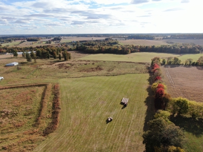 78 acre cattle farm for sale near Franklin, Ky - image 19
