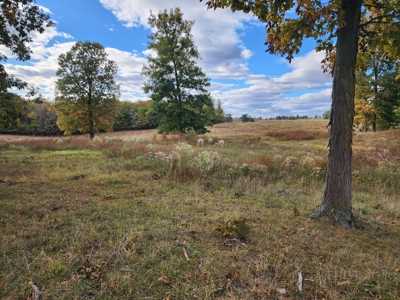 78 acre cattle farm for sale near Franklin, Ky - image 20