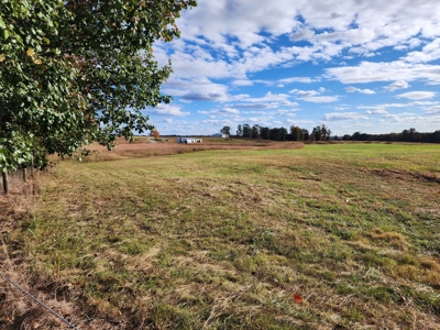 78 acre cattle farm for sale near Franklin, Ky - image 34