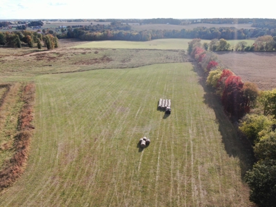 78 acre cattle farm for sale near Franklin, Ky - image 2