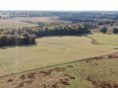 78 acre cattle farm for sale near Franklin, Ky - image 16
