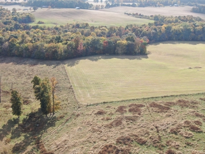 78 acre cattle farm for sale near Franklin, Ky - image 15