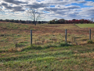 78 acre cattle farm for sale near Franklin, Ky - image 28