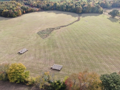 78 acre cattle farm for sale near Franklin, Ky - image 3