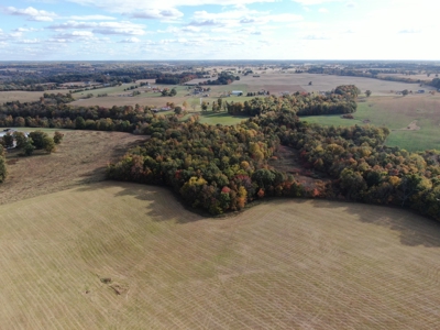 78 acre cattle farm for sale near Franklin, Ky - image 4