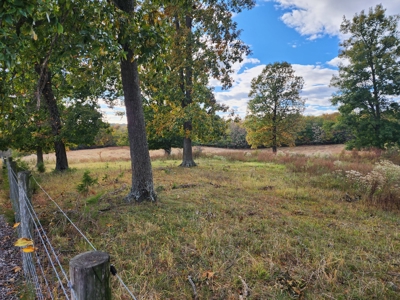 78 acre cattle farm for sale near Franklin, Ky - image 22