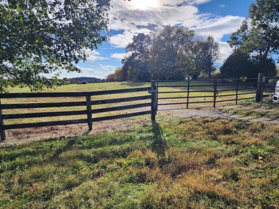 78 acre cattle farm for sale near Franklin, Ky - image 35