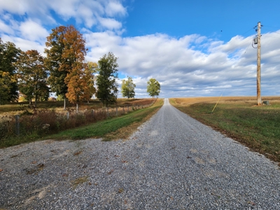 78 acre cattle farm for sale near Franklin, Ky - image 24
