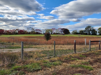 78 acre cattle farm for sale near Franklin, Ky - image 32