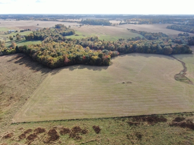 78 acre cattle farm for sale near Franklin, Ky - image 10