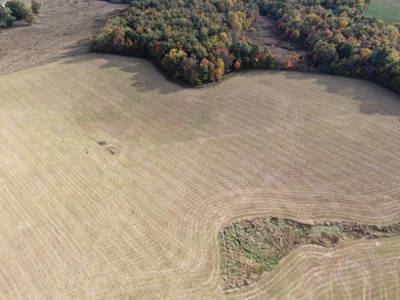 78 acre cattle farm for sale near Franklin, Ky - image 5