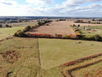 78 acre cattle farm for sale near Franklin, Ky - image 18