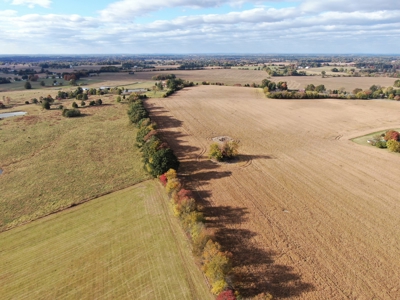 78 acre cattle farm for sale near Franklin, Ky - image 8