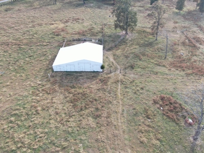 78 acre cattle farm for sale near Franklin, Ky - image 11