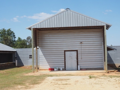 Poultry Breeder Turnkey Farm 3 Mega House in SW Mississippi - image 3