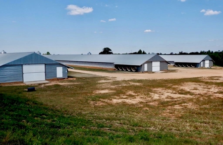 Poultry Breeder Turnkey Farm 3 Mega House in SW Mississippi - image 1