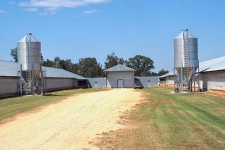 Poultry Breeder Turnkey Farm 3 Mega House in SW Mississippi - image 18