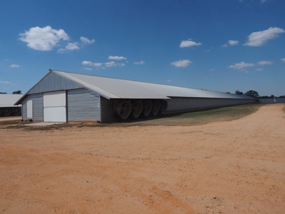 Poultry Breeder Turnkey Farm 3 Mega House in SW Mississippi - image 26