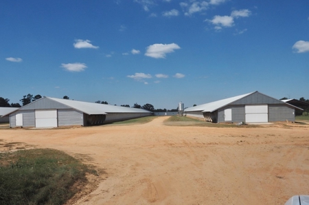 Poultry Breeder Turnkey Farm 3 Mega House in SW Mississippi - image 4