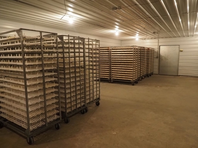 Poultry Breeder Turnkey Farm 3 Mega House in SW Mississippi - image 14