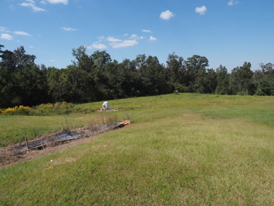 Poultry Breeder Turnkey Farm 3 Mega House in SW Mississippi - image 28