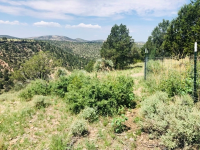 Southwest New Mexico Grant County Ranch for Sale - image 21