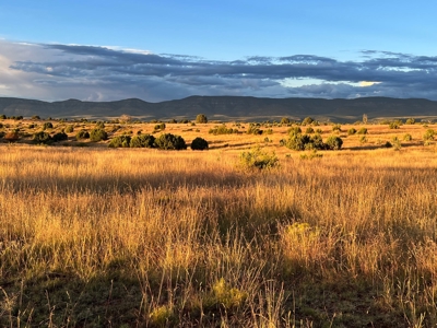 Southwest New Mexico Grant County Ranch for Sale - image 30