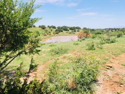 Southwest New Mexico Grant County Ranch for Sale - image 24