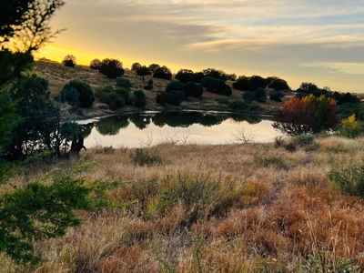 Southwest New Mexico Grant County Ranch for Sale - image 36