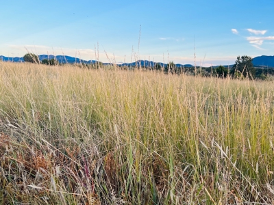 Southwest New Mexico Grant County Ranch for Sale - image 27