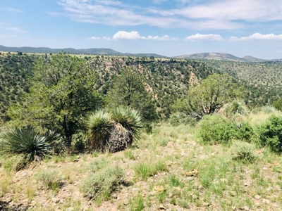 Southwest New Mexico Grant County Ranch for Sale - image 19