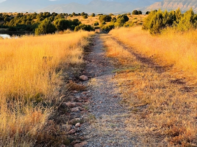 Southwest New Mexico Grant County Ranch for Sale - image 33