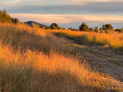 Southwest New Mexico Grant County Ranch for Sale - image 37