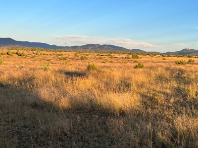 Southwest New Mexico Grant County Ranch for Sale - image 28