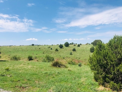 Southwest New Mexico Grant County Ranch for Sale - image 2