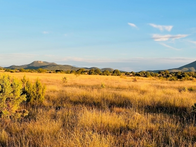 Southwest New Mexico Grant County Ranch for Sale - image 32