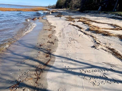 Log Home For Sale On Upper Red Lake, Waskish, Northern MN - image 26