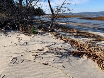 Log Home For Sale On Upper Red Lake, Waskish, Northern MN - image 24