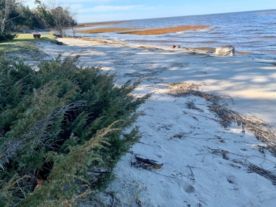 Log Home For Sale On Upper Red Lake, Waskish, Northern MN - image 28