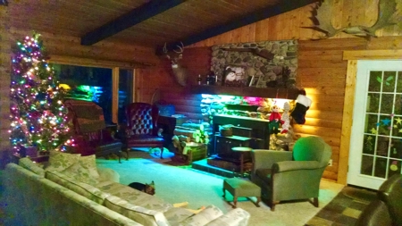 Log Home For Sale On Upper Red Lake, Waskish, Northern MN - image 12