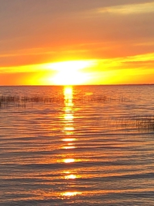 Log Home For Sale On Upper Red Lake, Waskish, Northern MN - image 3