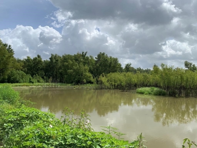 Southside Hunting Shares for Sale in Jefferson County, MS - image 38