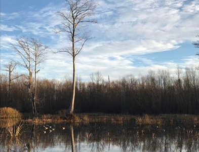 Southside Hunting Shares for Sale in Jefferson County, MS - image 33