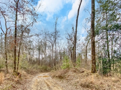 Southside Hunting Shares for Sale in Jefferson County, MS - image 21