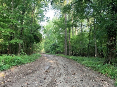 Southside Hunting Shares for Sale in Jefferson County, MS - image 35