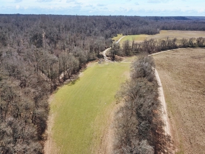 Southside Hunting Shares for Sale in Jefferson County, MS - image 4