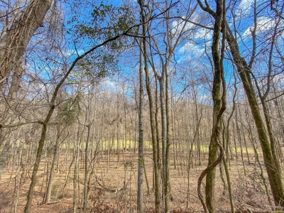Southside Hunting Shares for Sale in Jefferson County, MS - image 22
